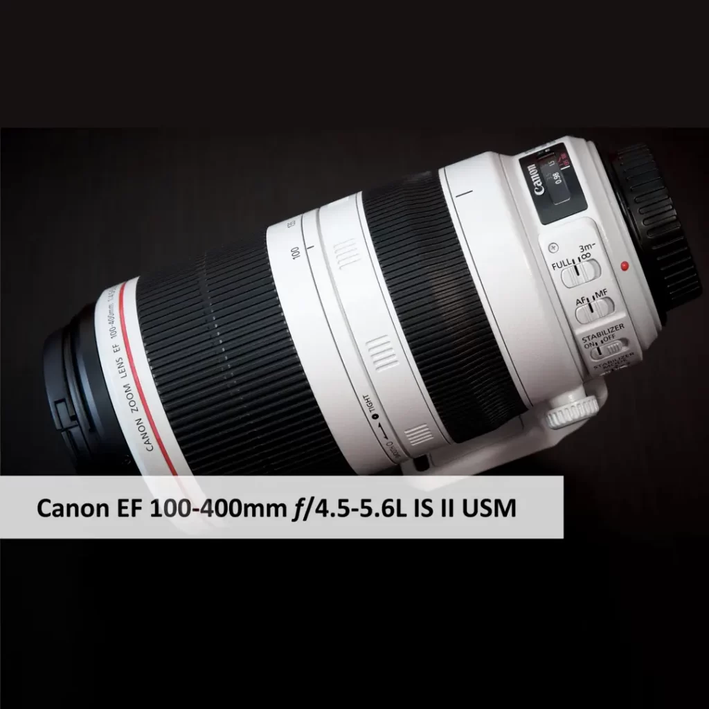 Canon EF 100-400